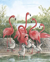 Pink FLamingo Birds Cross Stitch Pattern***L@@K*** - £2.30 GBP