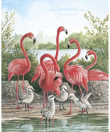 Pink FLamingo Birds Cross Stitch Pattern***L@@K*** - £2.31 GBP