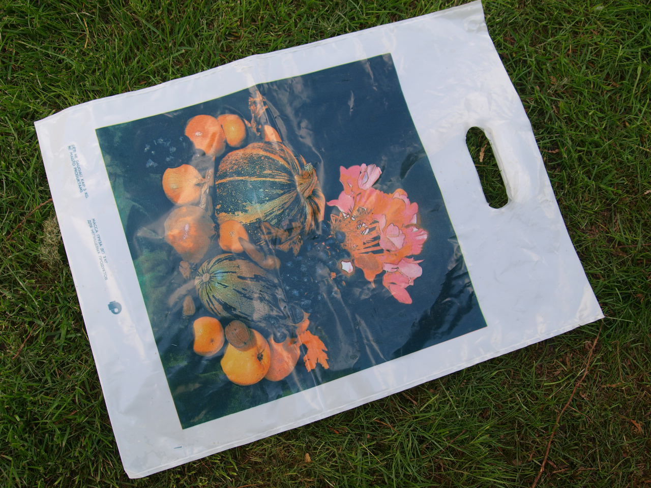 VINTAGE SOVIET USSR POLYETHYLENE PLASTIC BAG NOS FLOWERS DECOR - $8.99