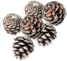 24 PCS Pine Cones For Christmas Tree Snowflake Natural Pinecones Ornament NEW - £21.59 GBP