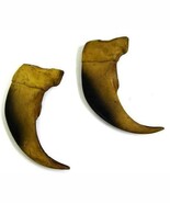 LARGE 3 INCH SYNTHETIC BLACK BEAR CLAW brown bears black wild animal cla... - $6.82