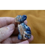 (Y-DOG-CH-562) Blue Tan CHIHUAHUA Mexican baby dog gemstone carving gem ... - $14.01
