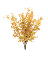 Mixed Fall Foliage Bush (Set of 6) - €55,20 EUR