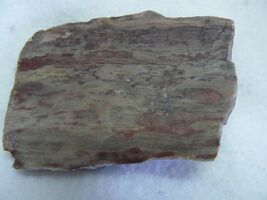 Brown Zebra Slab #133 - $3.00