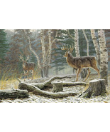 Buck Hunt Cross Stitch Pattern***L@@K*** - €2,55 EUR