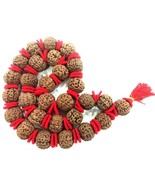 Rare Collector Size 9 Mukhi Rudraksha Kantha / Durga Kantha - Lab Certified - $687.74 CAD