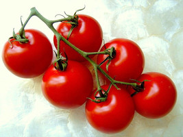 CAMPARI TOMATO, sweet vine tomatoes exotic fruit vegetables plant seed -25 SEEDS - £10.38 GBP