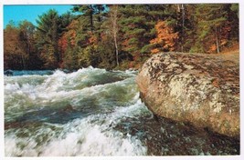 Ontario Postcard River Rapids Boulder Autumn Trees White Water - £2.31 GBP