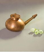 ISHA LIFE Jala Neti Pot BY SADHGURU , ORIGINAL BEST QUALITY - $29.03