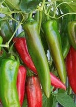 USA SELLER Anaheim Hot Pepper Seeds 500 To 2500 Scoville Heat Units So Many Uses - $9.99