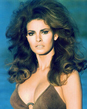 Raquel Welch Busty Brown Bikini Prints And Posters 275969 - £7.67 GBP