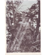 Rare Japanese vintage postcard 1907 - 1915 - Stone Fukui Gakuen Eikenji ... - $11.00