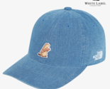 The North Face Logo Ball Cap Unisex Sports Casual Lifestyle Hat Blue NE3... - $71.19
