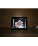 Wood Colored Picture Frame , With Gold Dots - $7.00