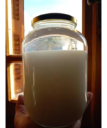  ORMUS 750ML JAR NOT CONCENTRATED GENEROUS AMOUNT HOMEMADE FILTERED &gt; 14... - $350.00