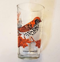 Ann Page Peanut Butter 5 1/8&quot; WOOD THRUSH Glass Tumbler A&amp;P Bird Series ... - £15.53 GBP