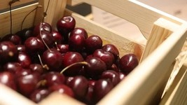 Fresh 10 Tieton Cherry Seeds for Garden - €6,88 EUR