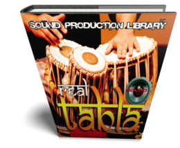 TABLA REAL - Large unique authentic WAVE/Kontakt Samples/Loops Studio Library - $14.99