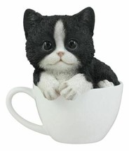 Lifelike Tuxedo Black and White Cat In Teacup Pet Pal Statue With Glass Eyes - £26.53 GBP