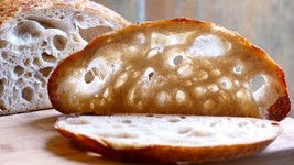 live ZOURDOUGH SOURDOUGH STARTER San Francisco  BEAST+ RECIPES-10starter... - $7.72