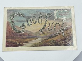 Vintage Postcard Good Luck Language Of Flowers White Heather Unused Blank - £3.73 GBP