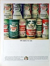 CANADA DRY - GINGER ALE - Tahitian Treat - Orange Soda - 1964 Vintage Pr... - €11,01 EUR