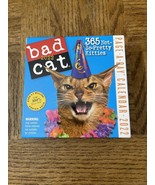 Bad Cat Page A Day 2022 Calendar - $14.73