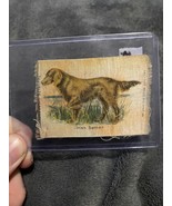 1910 Favorite Cigarettes Tobacco Silk IRISH SETTER DOG - £11.03 GBP