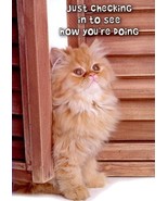 Just Checking In To See How You&#39;re Doing - Get Well Greeting Card - 00793 - $51.04 MXN