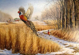 Pheasant Wildlife Cross Stitch Pattern***L@@K*** - $2.95