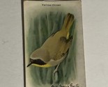 Arm &amp; Hammer Useful Birds Of America Antique #2 Yellow Throat VTC4 - $3.95