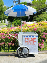 GELATO ELECTRIC CART ELECTRIC GELATO CART ICE CREAM VENDORS MOBILE ELECT... - $5,979.00