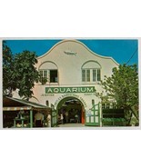 The Aquarium in Key West,Florida Many Fish Specimens Chrome Postcard - £10.72 GBP