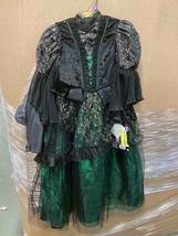 Kids Wizard of Oz Wicked Witch Premium Costume, Size Small (4-6) - $23.36