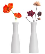 Tall Conic Composite Plastics Flower Vase, Wide Caliber Connected Tubes,... - £23.91 GBP