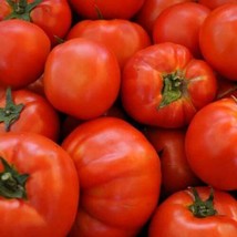 Beefsteak Tomato Seeds 100 Ct Vegetable Garden Heirloom Nongmo From USA! - £6.71 GBP