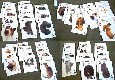  Illustrated Deck Playing Cards 54 Dog Breeds Saluki Dalmatian Pug Shiba - $12.86