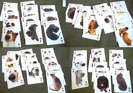  Illustrated Deck Playing Cards 54 Dog Breeds Saluki Dalmatian Pug Shiba - £10.11 GBP