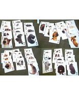  Illustrated Deck Playing Cards 54 Dog Breeds Saluki Dalmatian Pug Shiba - $12.86