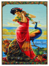 16x20&quot;Decoration CANVAS.Interior design art.Beautiful girl with peacock.6333 - £32.16 GBP