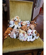 TY BEANIE BABIES~~RARE LOT OF 16 VHTF DOGS New Condition - $94.71 CAD
