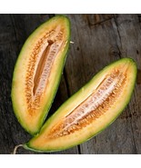 Banana Melon Cantaloupe Seeds 50 Muskmelon Fruit Fresh Garden - $4.28