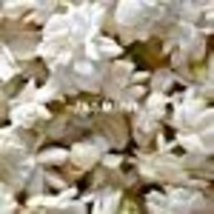 Women's Perfume Fragrance, Sung by Alfred Sung, Eau de Toilette Spray, 1 Fl Oz image 12