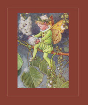 The Poplar Tree Fairy Art by Cicely Mary Barker Original Early 1940s Editioin Bo - £11.10 GBP