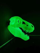 Trex Skull RGB Light Tyrannosaurus Dinosaur Wall Art  Unique Home Decor,... - $79.99