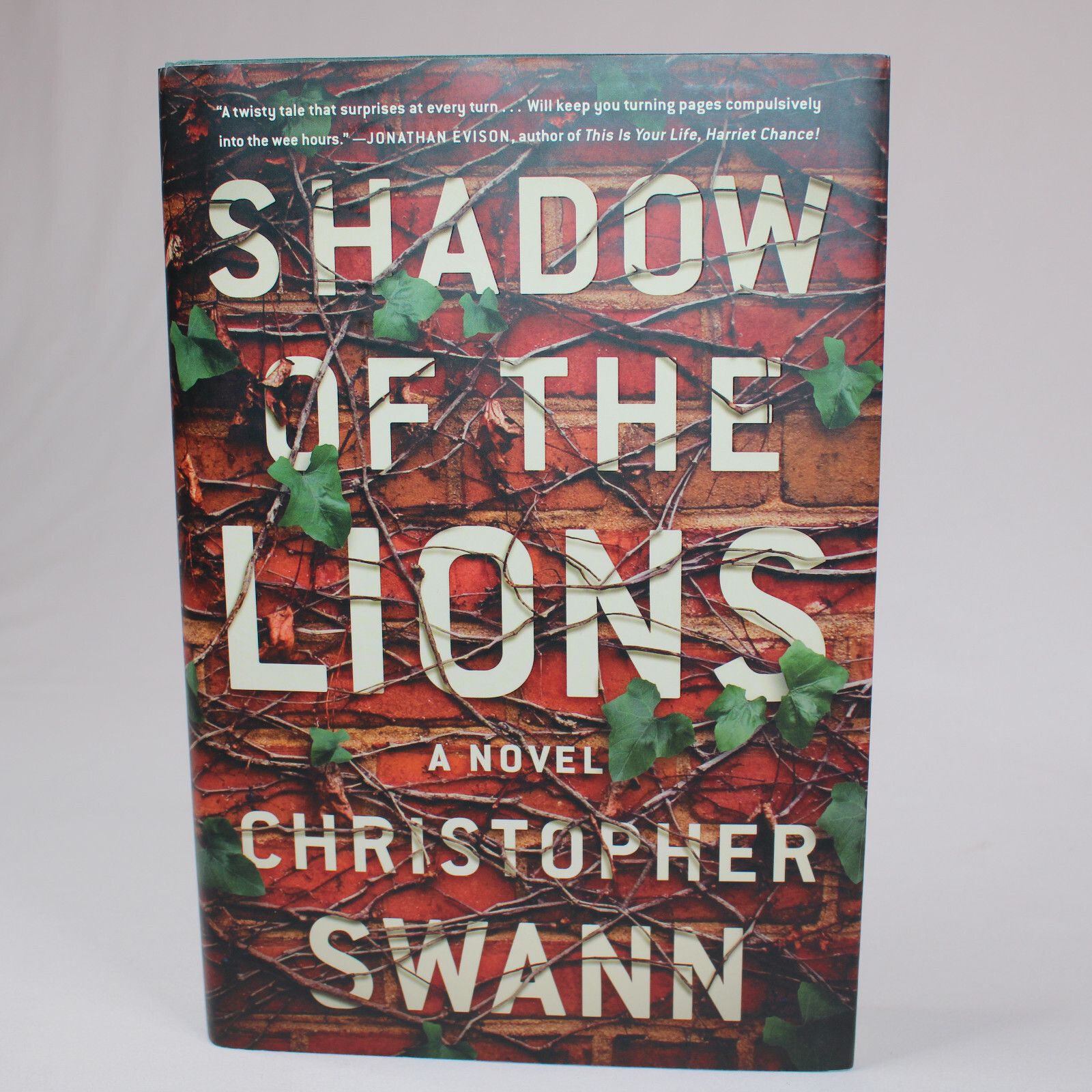 SIGNED Shadow Of The Lions A Novel By Christopher Swann 2017 Hardcover D... - $26.59
