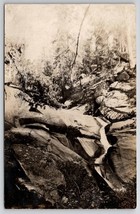 Ella Falls RPPC Lady Posing On Rock Sequoia National Park CA 1909 Postcard V24 - £23.94 GBP