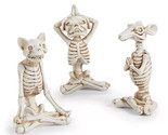 doing yoga 3 Yoga Skeleton spook &amp; fun, this  Holiday Lane dog, cat and rat - €38,56 EUR