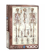 EuroGraphics Skeletal System (Chart) Puzzle (1000-Piece) - $564.33 MXN