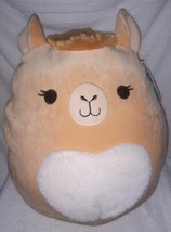 Squishmallows Rahima the Girl Camel 14&quot;H NWT  So cute! - £24.42 GBP